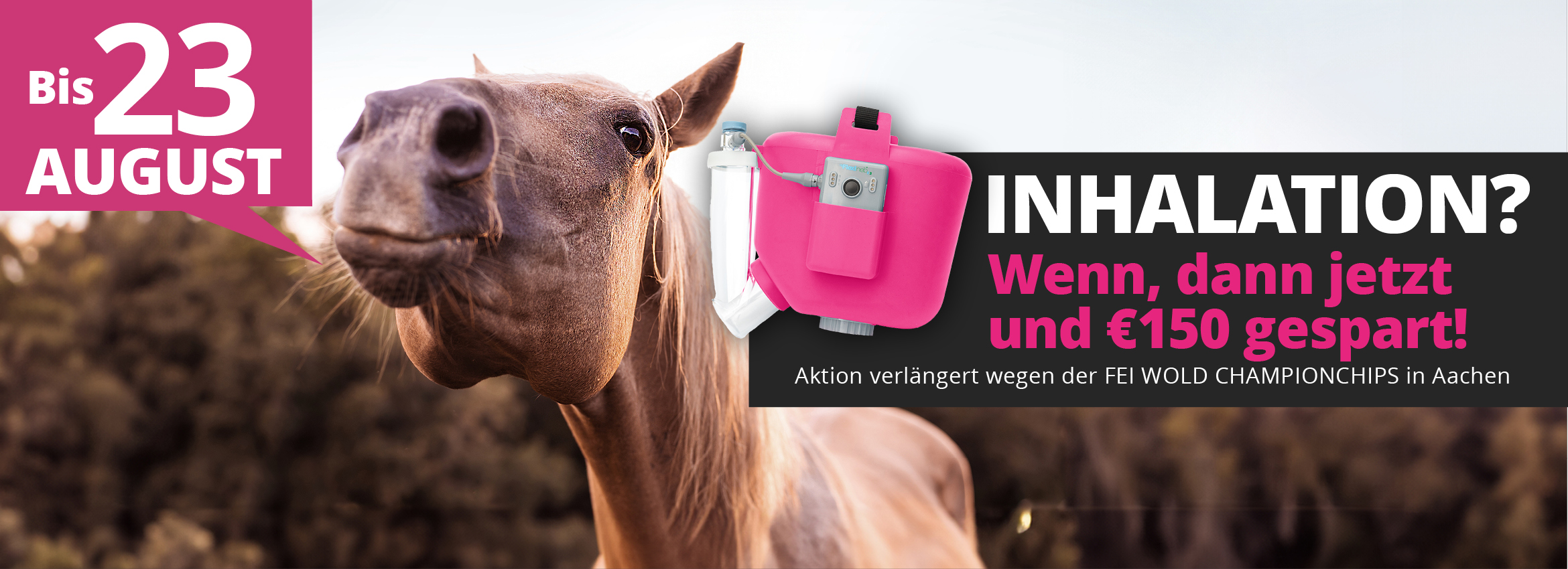 Flexineb WM Aachen Aktion