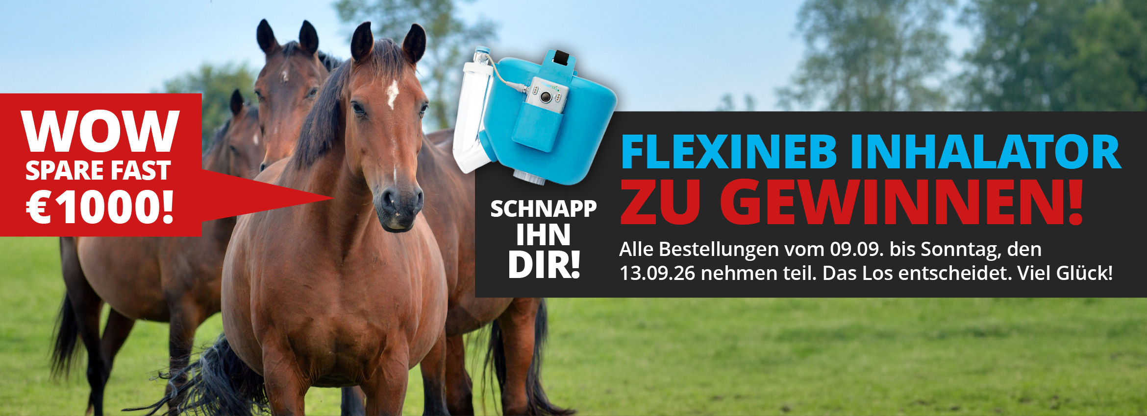 Flexineb gewinnen bis 13.09.2026