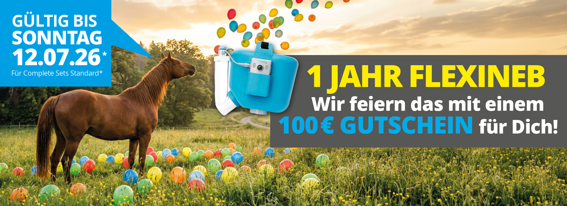 1 Jahr Flexineb