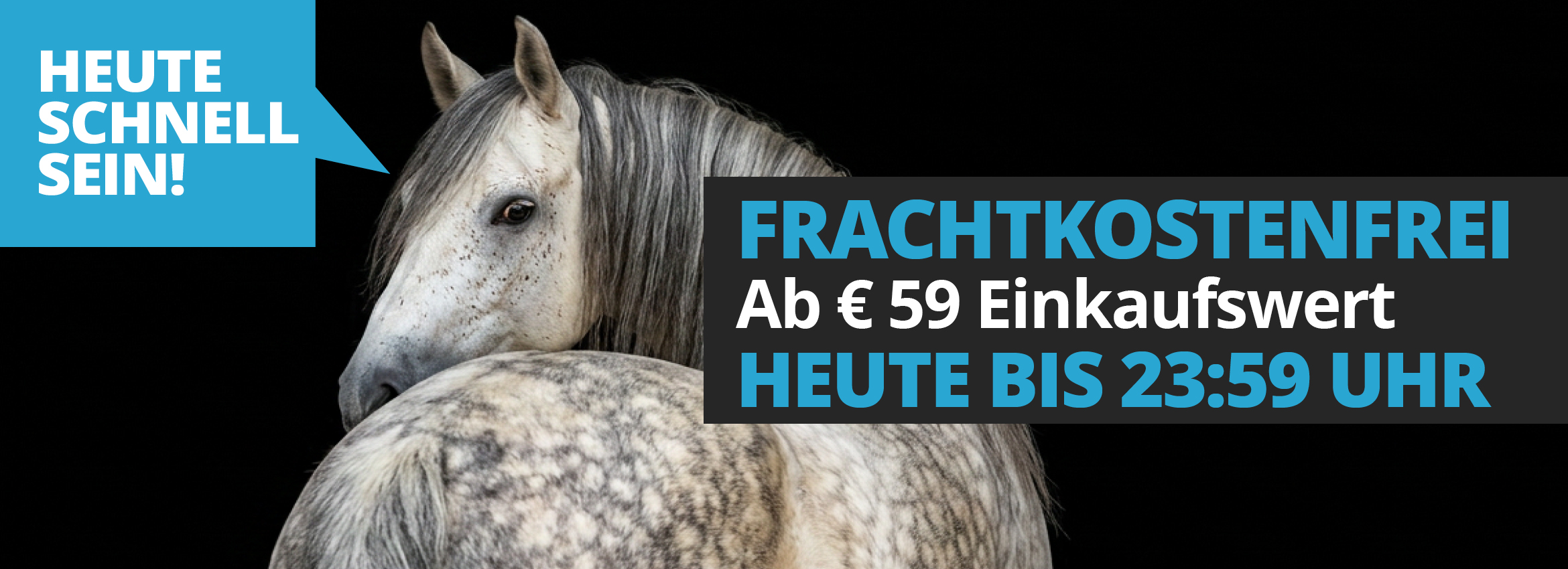 Ohne Frachtkosten ab € 59
