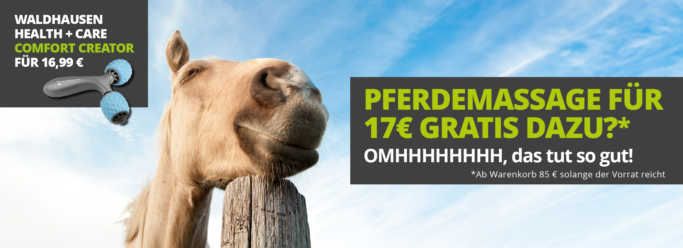 Pferdemassage gratis dazu