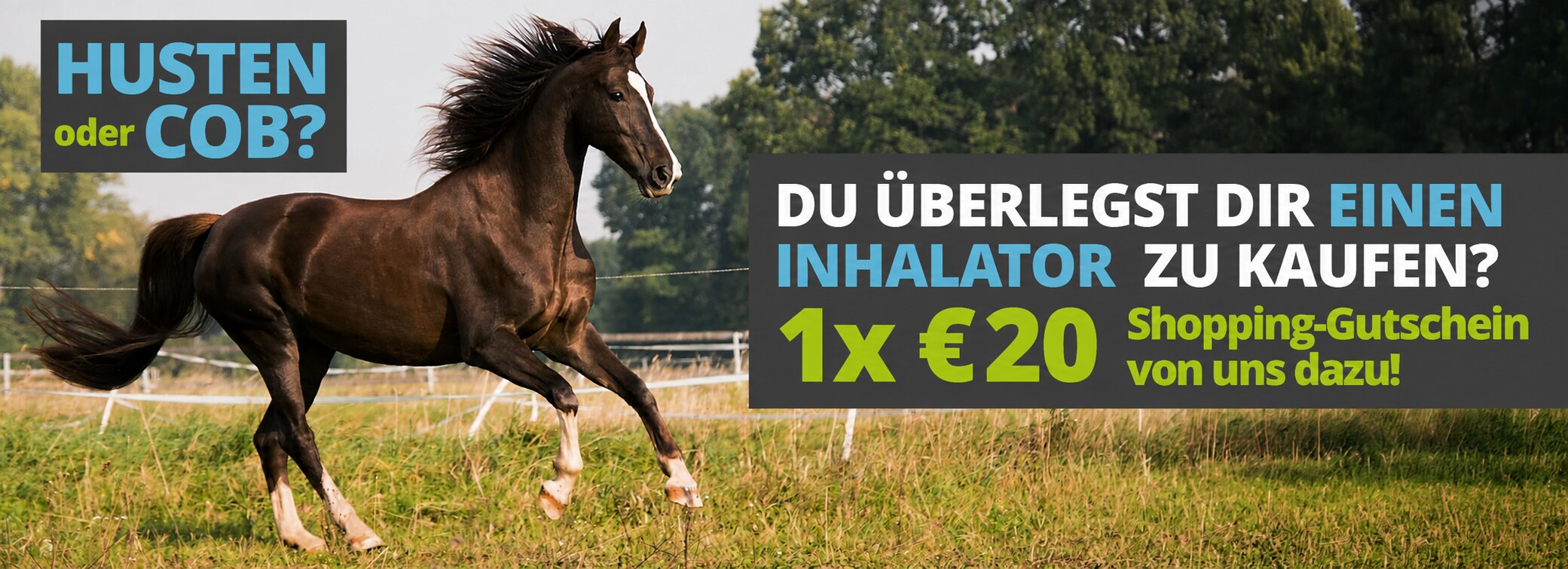 + 20€ Gutschein beim Kauf vom SaHoMa oder Flexineb