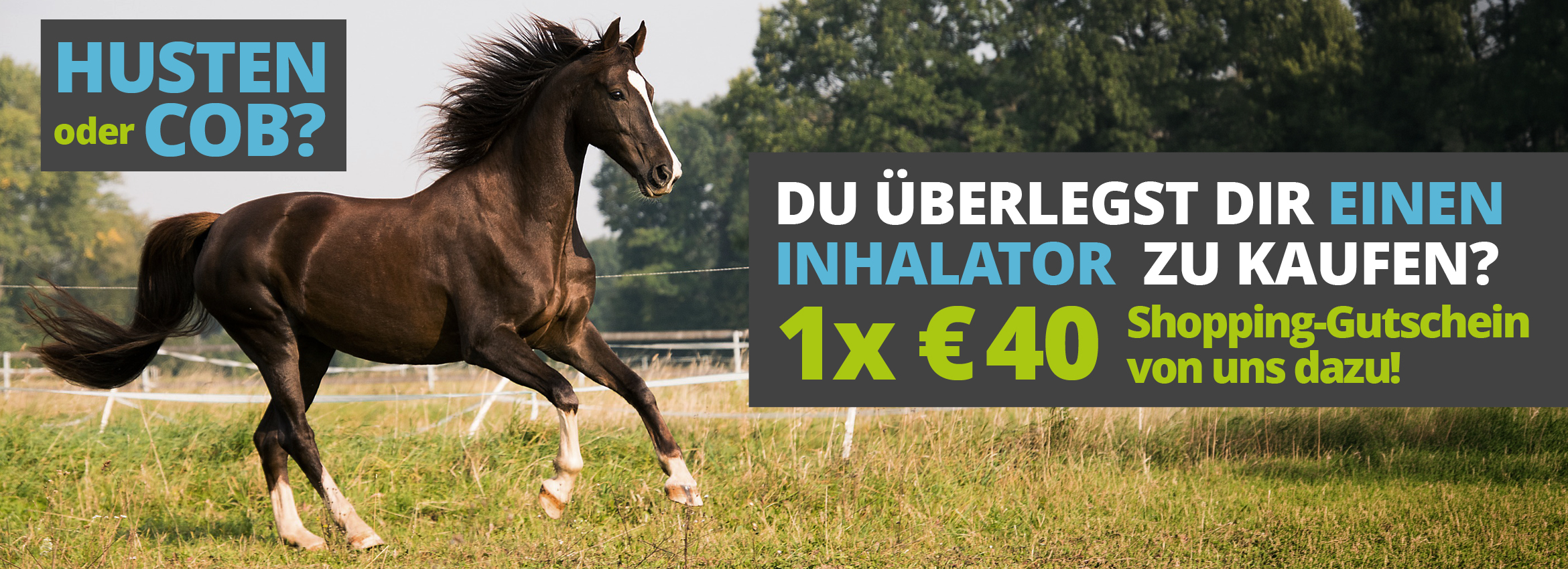 + 40€ Gutschein beim Kauf vom SaHoMa oder Flexineb