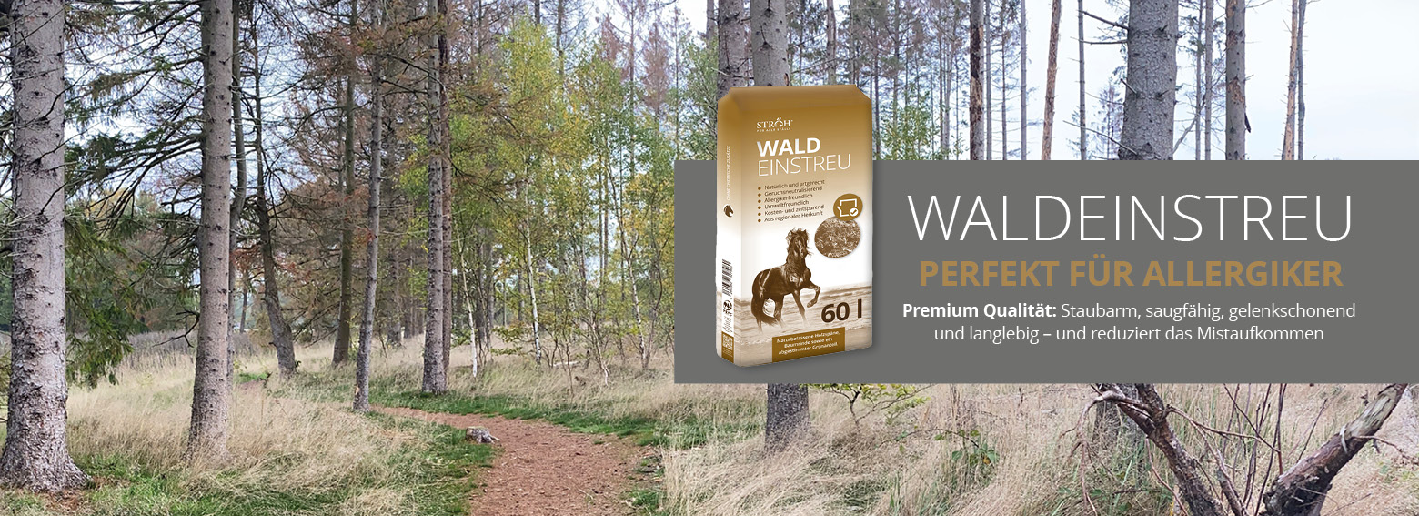 ForestFeeling im Stall