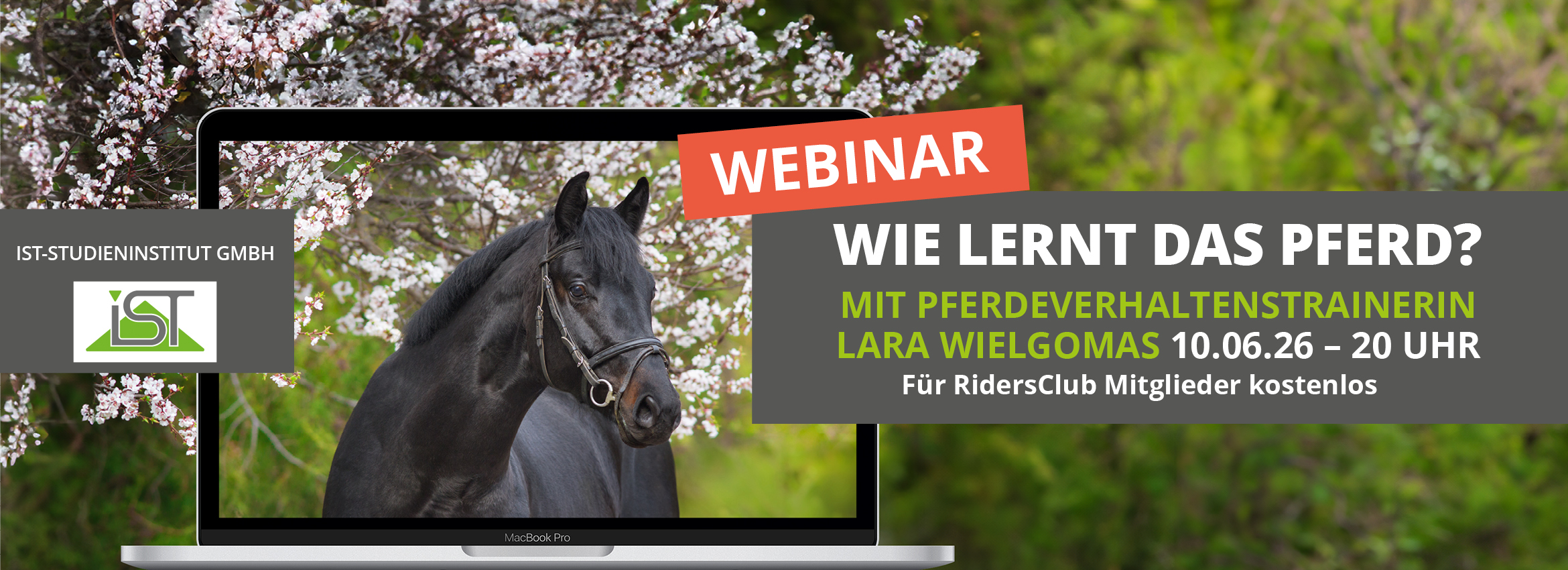 Webinar 10.06. Wie lernt das Pferd