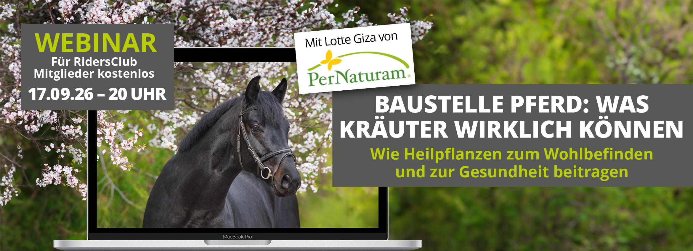 Webinar 17.09. Kräutervielfalt