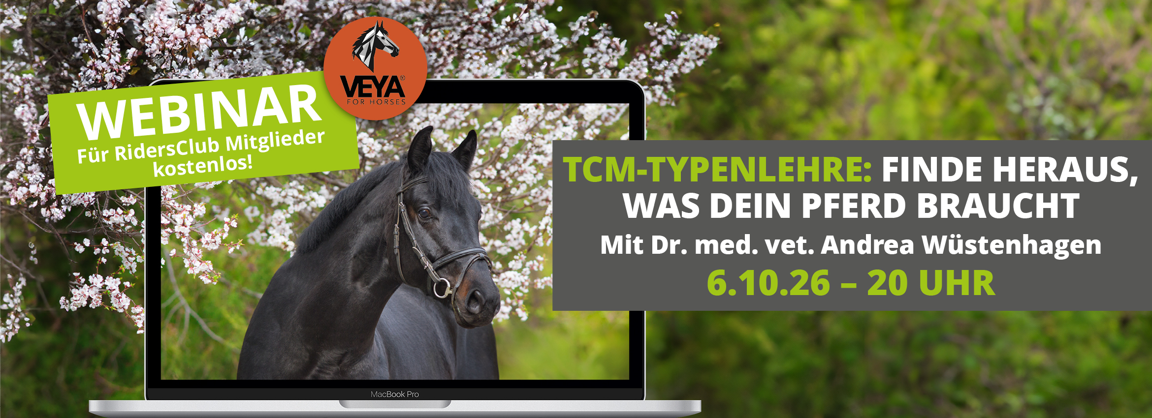 Webinar 06.10. TC;-Typenlehre